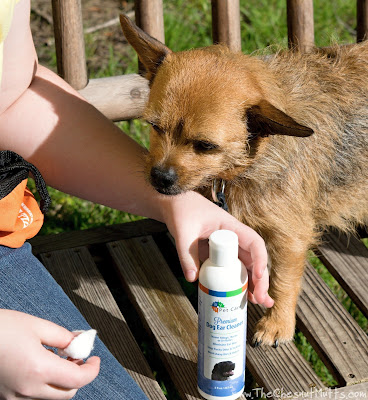 Jada and BVH Pet Care Premium Dog Ear Cleaner