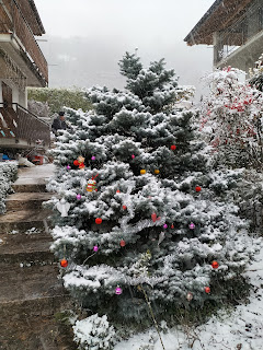 albero di natale sotto la neve