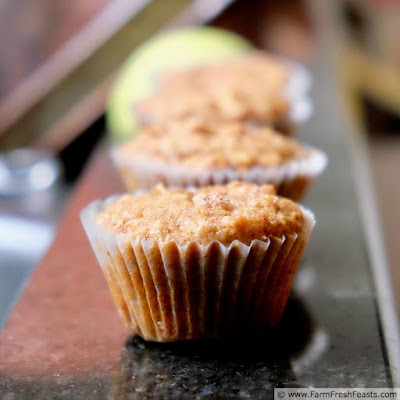 pic of apple cinnamon muffins in a row