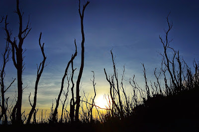 Gunung Papandayan