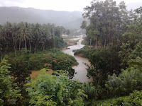 Sinharaja Rain Forest (UNESCO World Heritage Site) | Deniyaya, Sri Lanka