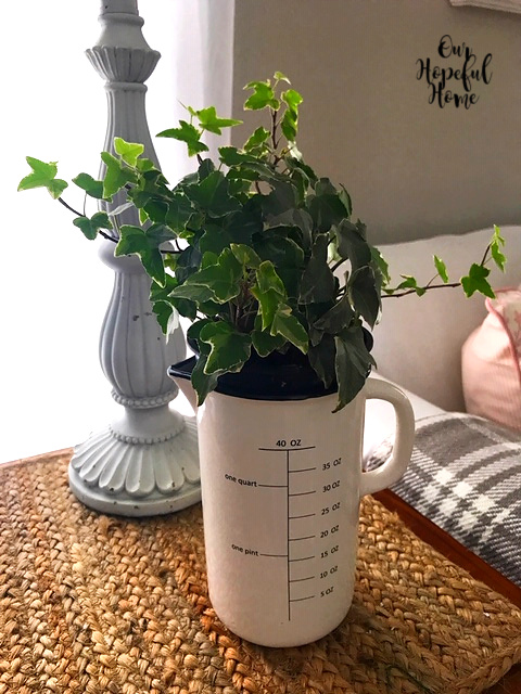 English ivy plant farmhouse measuring pitcher