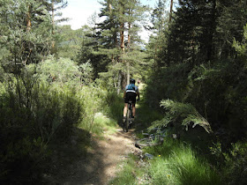 Ruta en bici de Cercedilla a Segovia, junio 2012