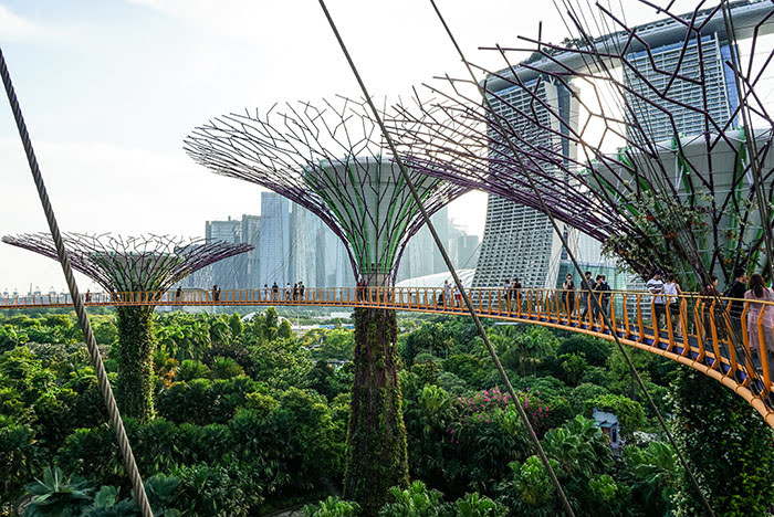 Singapur | Sightseeing: Gardens by the Bay 