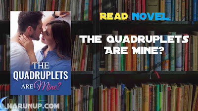 Read The Quadruplets Are Mine? Novel Full Episode