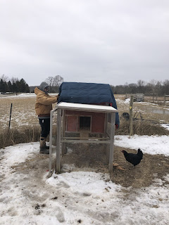 Ben, bundled in sweats and a winter coat, places a navy comforter on the rooftop of the coop while a black chicken stands on the frozen ground.
