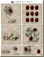 ladybugweb2
