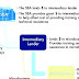 MicroLoan Program