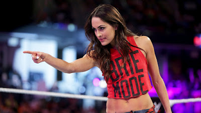 Brie Bella Body Weight Height Shoe & Bra Size Stats