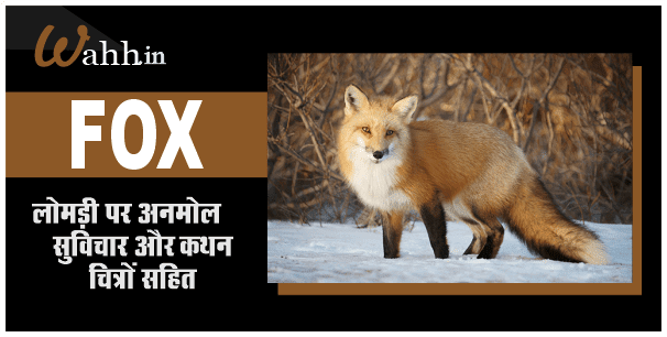 Fox Quotes In Hindi