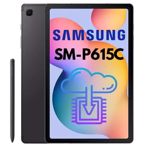 Full Firmware For Device Samsung Galaxy Tab S6 Lite SM-P615C