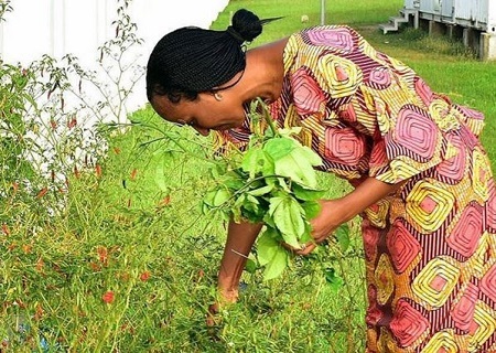 Wow! See What Yemi Osinbajo's Wife, Dolapo Was Spotted Doing In Her Garden Recently (Photo)