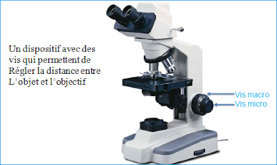 Oculaire microscope
