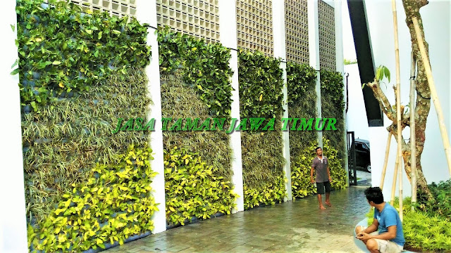 JASA TUKANG TAMAN VERTICAL SURABAYA, JASA PEMBUATAN VERTICAL GARDEN SURABAYA, JASA VERTICAL GARDEN SURABAYA BARAT, SURABAYA UTARA, SURABAYA TIMUR, SURABAYA SELATAN,  JASA PEMBUATAN TAMAN DINDING SURABAYA, JASA PEMBUATAN GREEN WALL SURABAYA, JASA PEMBUATAN ARTICIAL PLANT SURABAYA, JASA PEMBUATAN TAMAN VERTICAL GARDEN SINTETIS SURABAYA, HARGA PEMBUATAN VERTICAL GARDEN DI SURABAYA, GAMBAR VERTICAL GARDEN SURABAYA, KONSEP VERTICAL GARDEN SURABAYA, JASA TUKANG TAMAN VERTICAL GARDEN MURAH DI SURABAYA, JASA PEMBUATAN VERTICAL GARDEN INDOOR, JASA PEMBUATAN VERTICAL GARDEN OAUTDOOR, segera hubungi kami untuk mendapatkan pelayanan terbaik, roof garden murah, roof garden design, roof garden minimalis, roof garden sederhana, roof garden detail, roof garden medan, roof garden semarang, drainasecell roof garden, versicel roof garden, roof garden indonesia, roof garden jakarta, roof garden system, roof garden, roof garden adalah, drainasecell, versicell, alat roof garden, cara membuat roof garden, peralatan roof garden, roof top, top roof garden, taman dak atas, cara membuat taman dak, taman atap roof garden, taman roof garden, roof garden apartment, tukang taman vertikal, vertikal garden murah, vertikal garden sederhana, vertikal garden jakarta, tukang taman vertical, vertical garden murah, vertical garden sederhana, vertical garden jakarta, tukang taman vertikal di cibubur, tukang taman vertikal bintaro, tukang taman vertikal tangerang, tukang taman vertikal jakarta, tukang taman vertikal serpong, tukang taman vertikal jakarta , tukang taman vertikal bekasi, tukang taman vertikal di bintaro, tukang taman vertikal semarang, tukang taman vertikal pekalongan, tukang taman vertikal batang, tukang, taman vertikal cirebon, tukang taman vertikal karawang, tukang taman vertikal surabaya, tukang taman vertikal solo, tukang taman vertikal yogyakarta, tukang taman vertikal bali, tukang taman vertikal medan, tukang taman vertikal batam, tukang taman vertikal jakarta timur, tukang taman vertikal jakarta pusat, tukang taman vertikal jakarta selatan, tukang taman vertikal jakarta barat, tukang taman vertikal jakarta utara, tukang taman vertikal tangerang, tukang taman vertikal serpong, tukang taman vertikal perumahan, tukang taman vertikal murah, tukang taman vertikal kalimantan, tukang taman vertikal makssar, tukang taman vertikal papua, tukang taman vertikal Lombok, vertikal sederhana, taman vertikal paralon, taman vertikal jakarta, taman vertikal pdf, taman vertikal dari botol bekas, taman vertikal murah, taman vertikal rumah minimalis, taman vertikal adalah, taman vertikal dalam rumah, taman vertikal, taman vertikal minimalis, taman vertikal anggrek, taman vertikal botol, taman vertikal di bandung, taman vertikal menggunakan botol bekas, taman vertikal dari batu bata, biaya taman vertikal, buat taman vertikal, contoh taman vertikal, cara taman vertikal, contoh taman vertikal garden, taman vertikal di rumah, taman vertikal di lahan sempit, taman vertikal di dinding, taman vertikal dinding, taman vertikal dengan paralon, taman vertikal depok, fungsi taman vertikal, foto taman vertikal, taman vertikal garden, taman gantung vertikal, gambar taman vertikal minimalis, cara membuat taman vertikal garden, gambar taman vertikal, griya taman vertikal, desain taman vertikal garden, taman vertikal hidroponik, taman vertikal harga, harga taman vertikal murah, taman vertikal indonesia, taman vertikal indoor, taman vertikal italia, ide taman vertikal