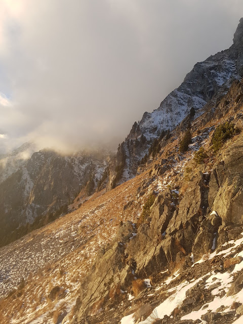 Su versanti meridionali presso il Passo Stalle sotto il Grande Orecchio a circa 2200 m: neve quasi assente. (Foto: Kleinlercher Daniel, 23.11.2022)
