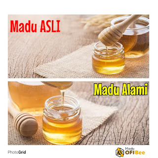 ciri madu alami, madu asli, madu ofibee