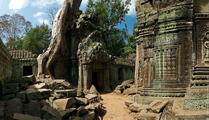 ta-prohm6