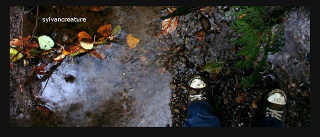 Chucks, muddy chucks