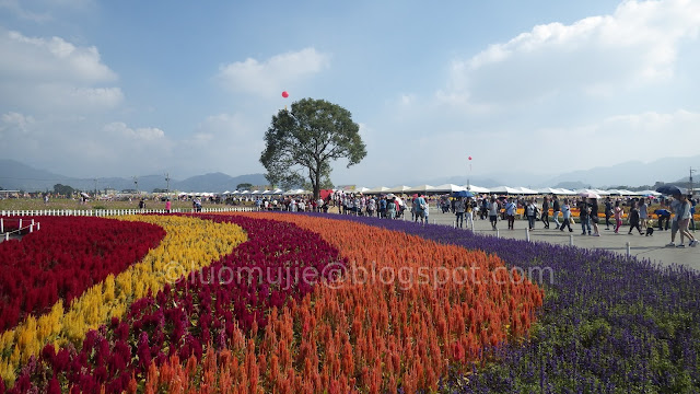 Xinshe Sea of Flowers