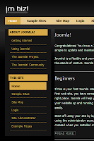 Professional Joomla Design