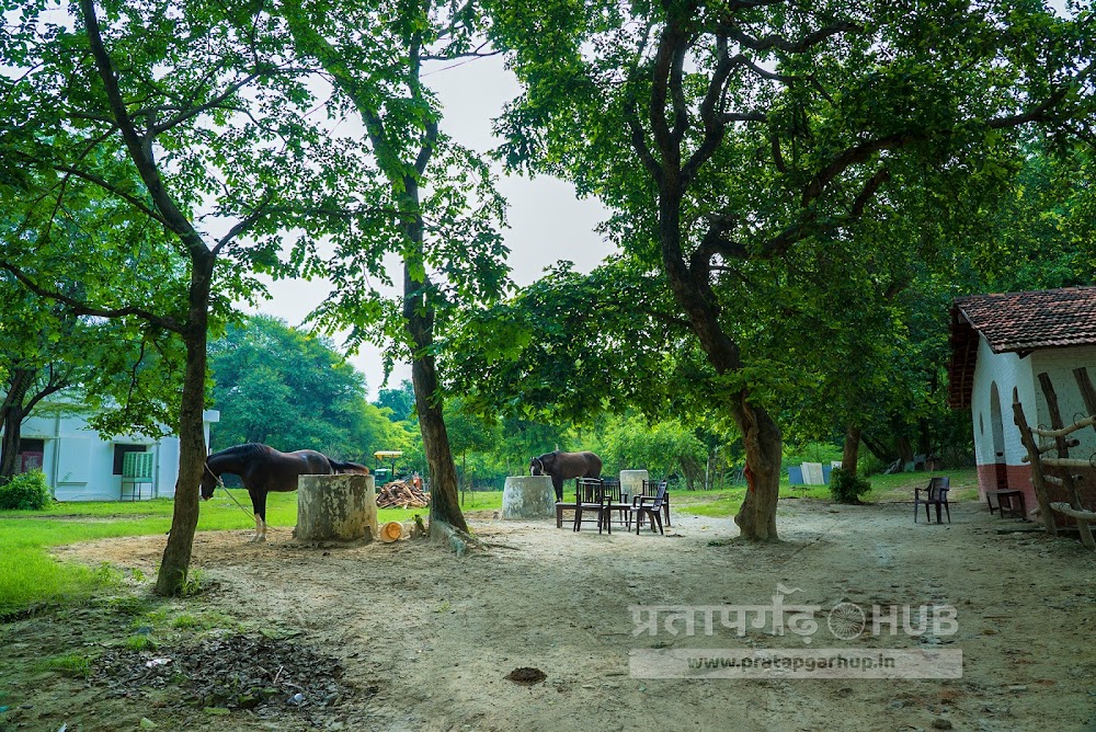 Benti Kothi Kunda Kunda Pratapgarh