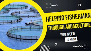 How can one help fishermen by introducing aquaculture in their profession?