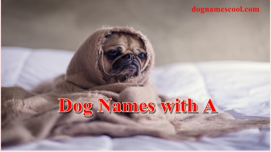 dog names with a