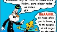 Caña Con Ruda Imagenes : Día de la Pachamama: ¿por qué se toma caña con ruda este 1 ... - Últimas noticias de caña con ruda.