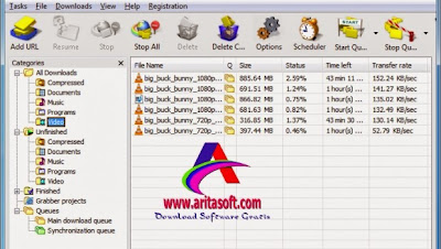 Internet Download Manager 6.19 Build 6 Full Crack/Patch