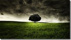 albero solo