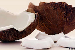 खाली पेट कच्चा नारियल खाने से इम्यूनिटी मजबूत, शरीर को फायदे (Eating raw coconut on an empty stomach strengthens immunity and benefits the body.)