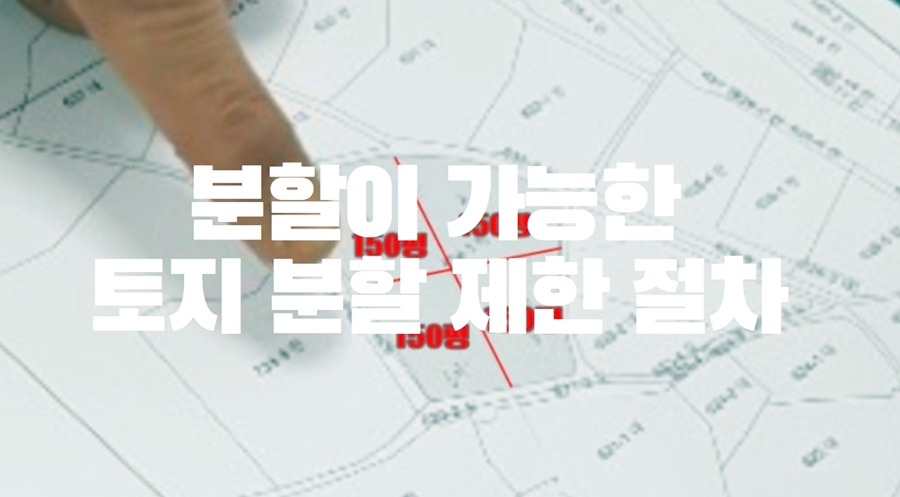 토지 분할