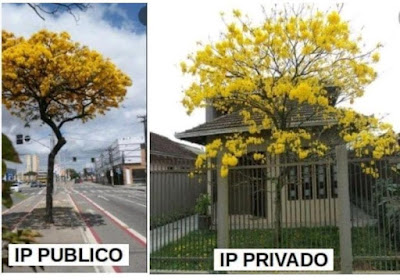 ip publico e ip privado