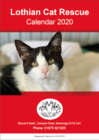 cover of the Lothian Cat Rescue 2020 calendar, with a photo of a black and white cat