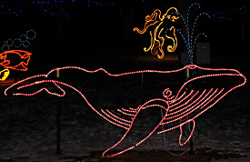 Lighted Whale