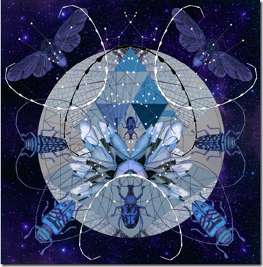 forget me not scarf-7