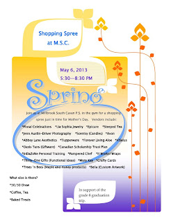 image Millbrook South Cavan Shopping Spree Fundraising Sale poster with pastel shopping bag