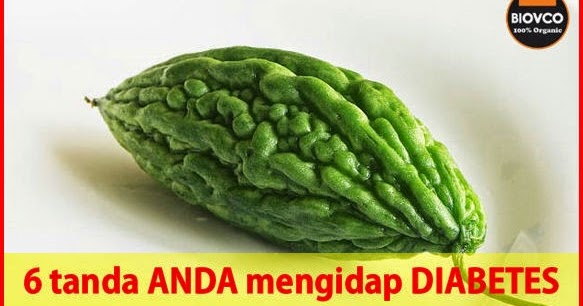 6 tanda ANDA mengidap kencing manis ~ Info Kesihatan