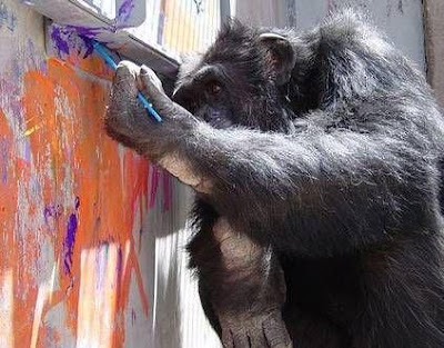 شمبانزي يرسم لوحات سعر الواحدة 150 ألف دولار
