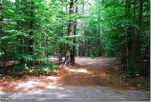 Campground 3_009