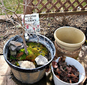 Plum Creek Place, Little Jo's doll party,  broken pot fairy garden, fairy garden, Halloween fairy garden