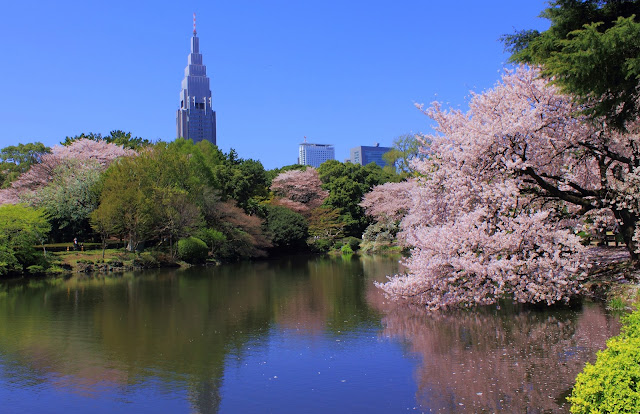 8 Taman Yang Wajib di Kunjungi di Tokyo