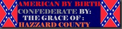 CONFEDERATE BY THE GRACE OF
