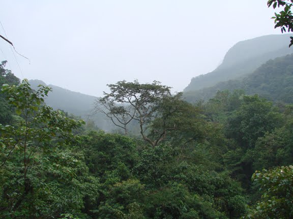 sripada forest from Ratnapura root