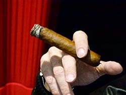 Cigar Brussels