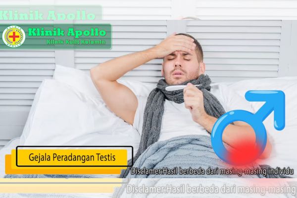 Gejala Peradangan Testis selain Rasa Nyeri