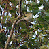 YBW Fishguard 