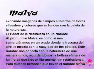 ▷ Significado del nombre Malva