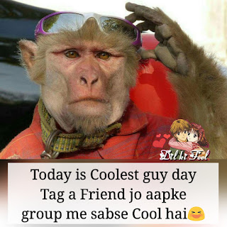 Cool like a monkey tag post for facebook