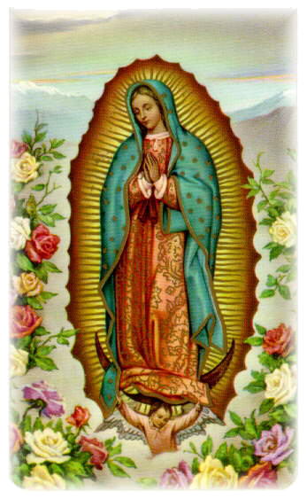 virgen de guadalupe